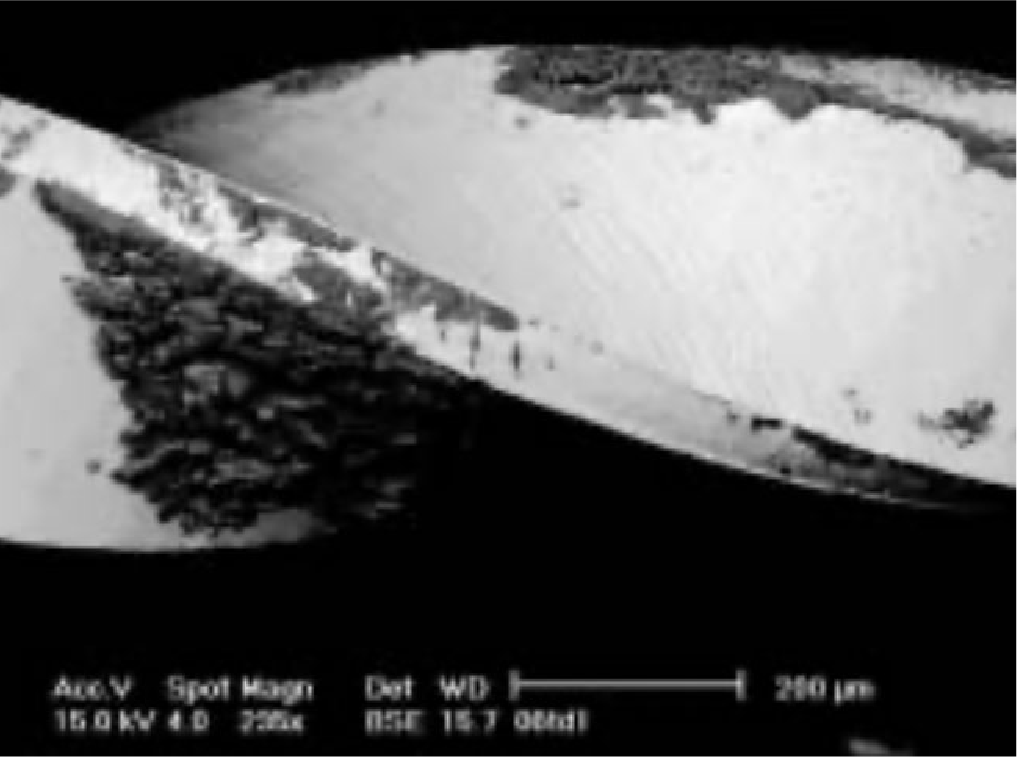 洗浄滅菌後のファイル表面の電子顕微鏡画像
